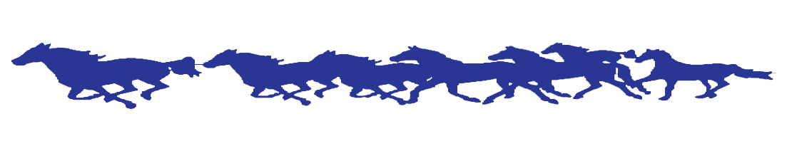 bh 